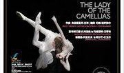 茶花女在线观看,在线观看，重温爱情悲剧之美
